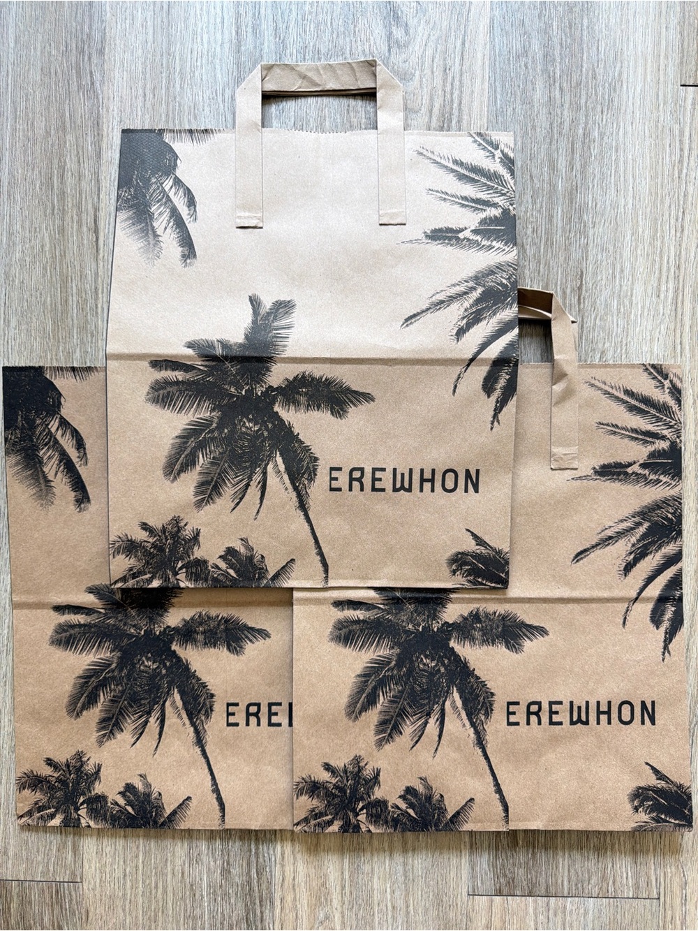 Erewhon Palm Tree Paper Shopping Bags Set of 3 Brown Black Los Angeles